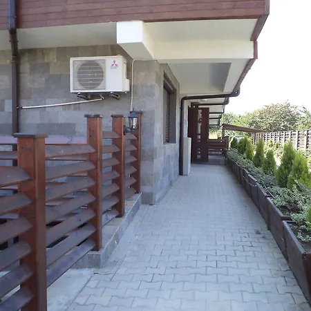 In Sunny Hill 3