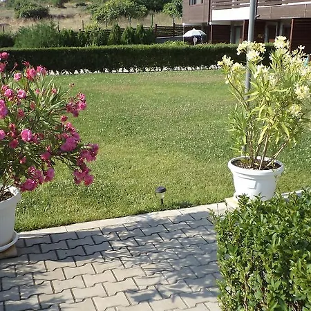 In Sunny Hill 3 *