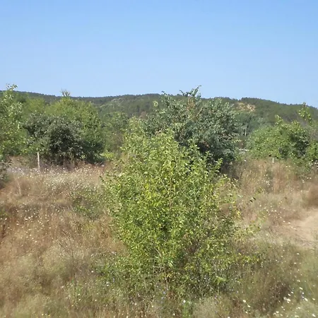 Апартаменты In Sunny Hill 3 Созополь