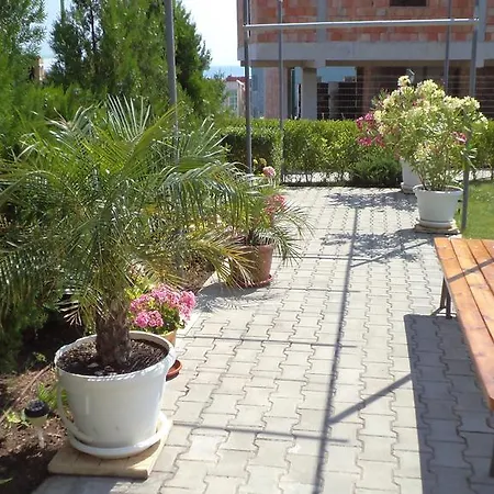 In Sunny Hill 3